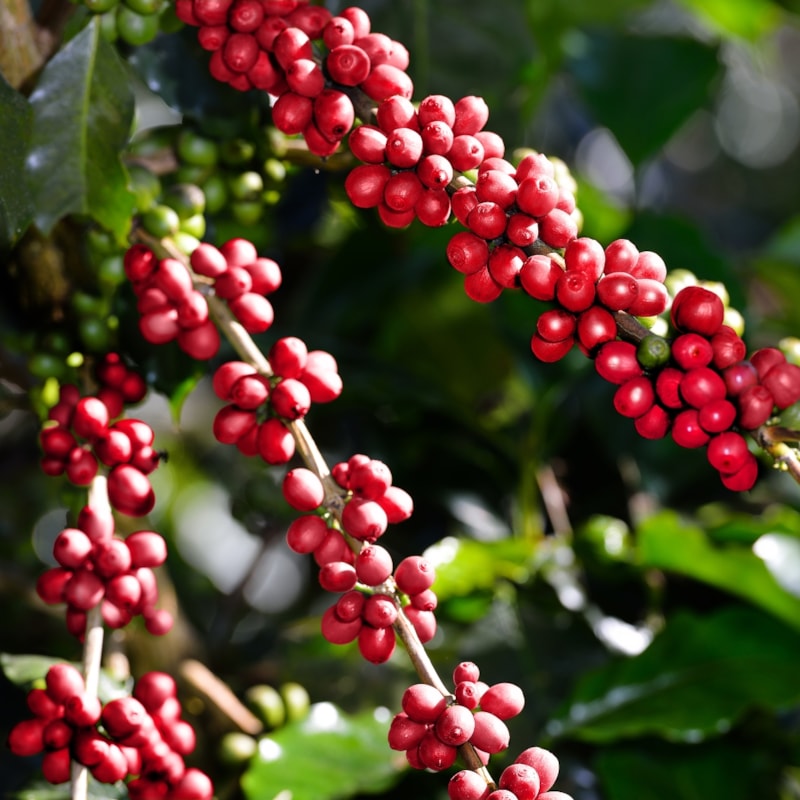 image_de0ccc4d-e982-4848-8089-a1c7b774eb46
