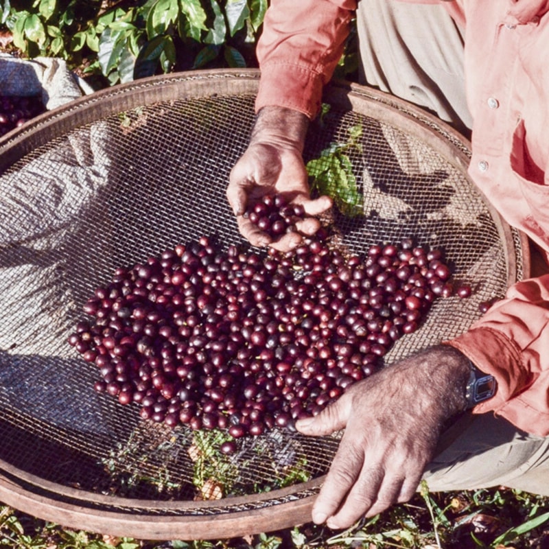 image_cab7bf62-1999-4ab3-9db1-083b110279ab