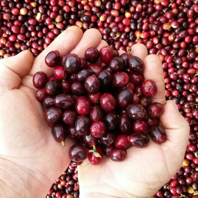 image_017c0d7f-4ba2-4536-864d-c7d44893ec18