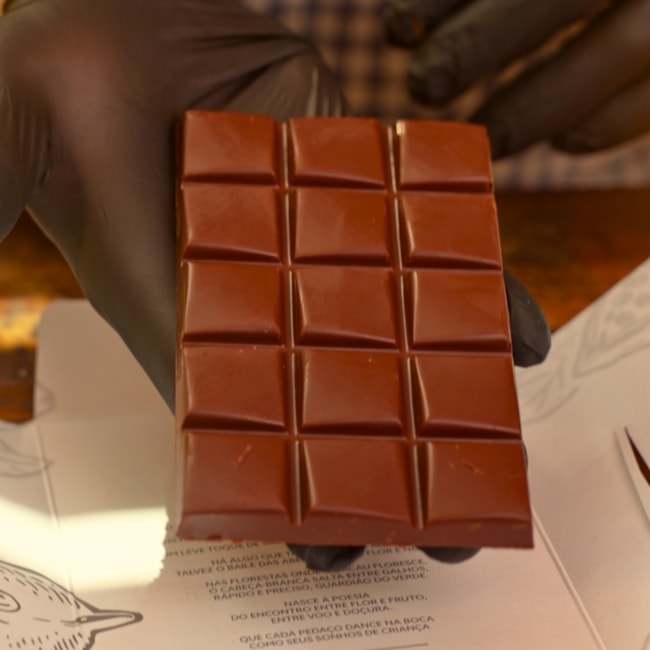 image_0951d1fd-8fdf-4f85-980c-828755bc900d