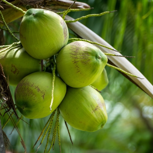 image_db0d0ca1-a48a-4d5d-a6a5-826f667c3871