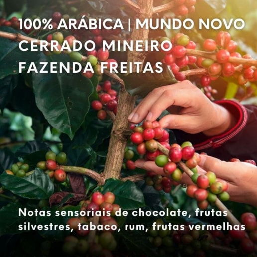 informações café