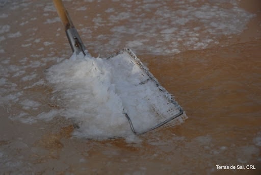 flor de sal yamuna